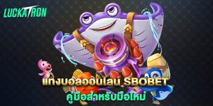 แทงบอลออนไลน์-sbobet-คู่มือสำหรับมือใหม่